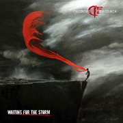 Waiting for the storm cover image