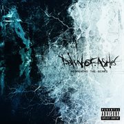 Reopening The Scars cover image