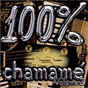 100 % chamame - vol. 2 cover image