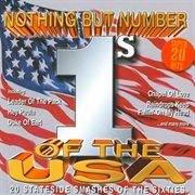 Nothing but number 1's of the usa cover image