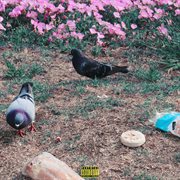 Bread Bags cover image