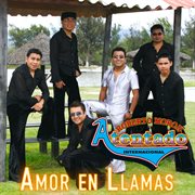 Amor En Llamas cover image