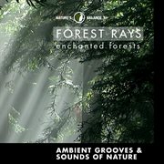 Forest rays: ambient grooves & sounds of nature cover image