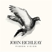 Pigeon vision cover image