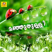 Manjuthulli Manjuthulli