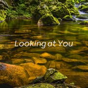 Looking At You cover image