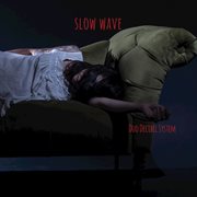 Slow wave cover image