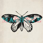 Papillon cover image