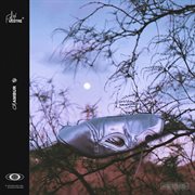 Calambur cover image