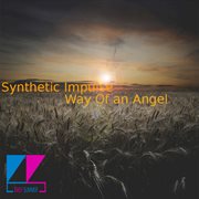 Way of an angel cover image