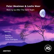 Waking up after the dark night cover image