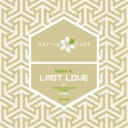 Last love cover image