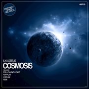 Cosmosis cover image