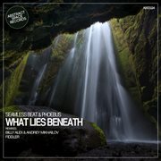 What lies beneath cover image