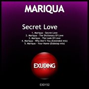 Secret love cover image