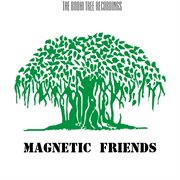Magnetic friends cover image