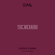 The meaning cover image