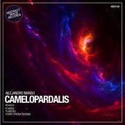 Camelopardalis cover image