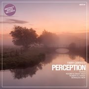 Perception cover image