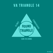 Va triangle 14 cover image
