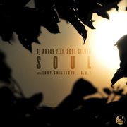 Soul cover image