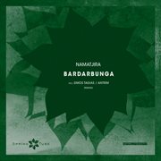 Bardarbunga cover image