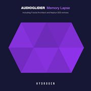 Memory lapse cover image