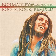 Roots, rock, remixed: the complete sessions cover image