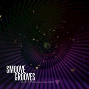 Electronic chill, vol. iii: smoove grooves cover image