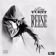 Turntlikereese cover image
