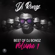 Best of dj bongz, vol. 1 cover image