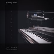 Last Hope cover image