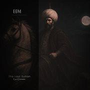 The Last Sultan cover image