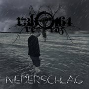 Niederschlag cover image