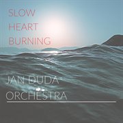 Slow heart burning cover image