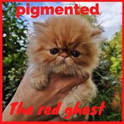 The red ghost cover image