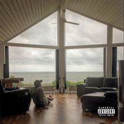 Pandemikultur cover image