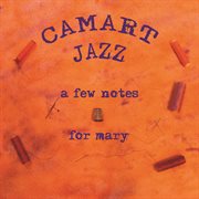 A few notes for mary cover image