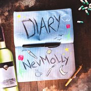 Diary cover image