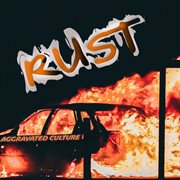 Aggravated culture cover image