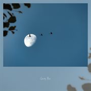 Blue Moon cover image