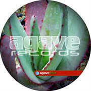 Salsanova cover image