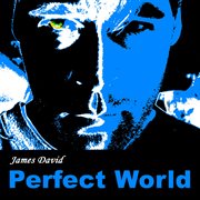 Perfect world cover image
