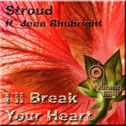 I'll break your heart cover image
