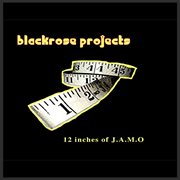 12 inches of j.a.m.o cover image