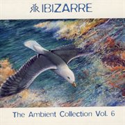 Ambient collection vol. 6 cover image