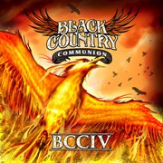 BCCIV cover image