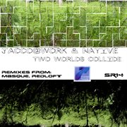 Two worlds collide cover image