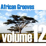 African grooves vol.12 cover image