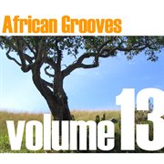 African grooves vol.13 cover image
